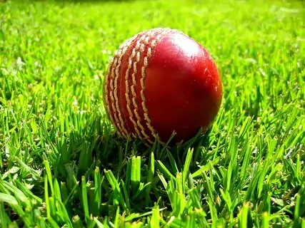 Cricket